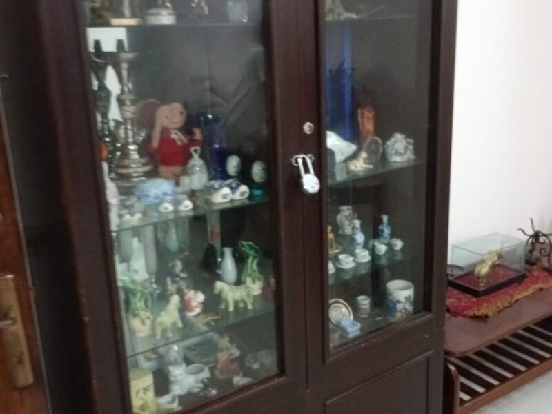 Fully Furnished Residential Place in Gulshan 2